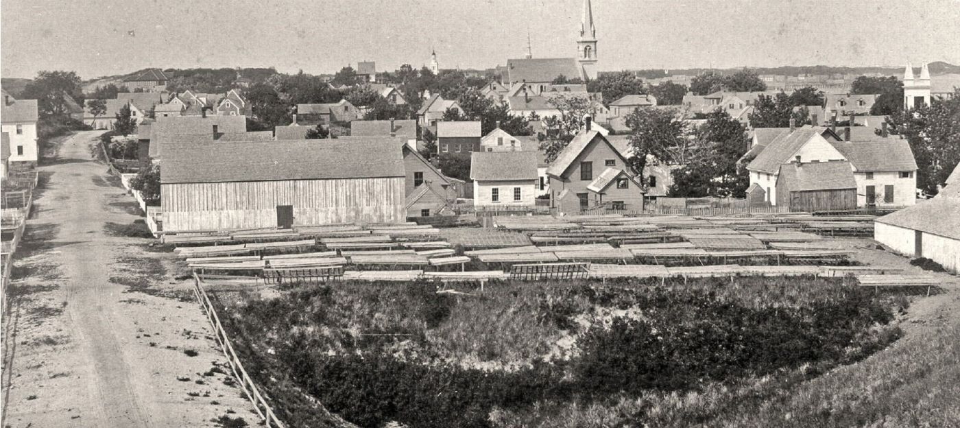 Historic black and white photo of Provincetown